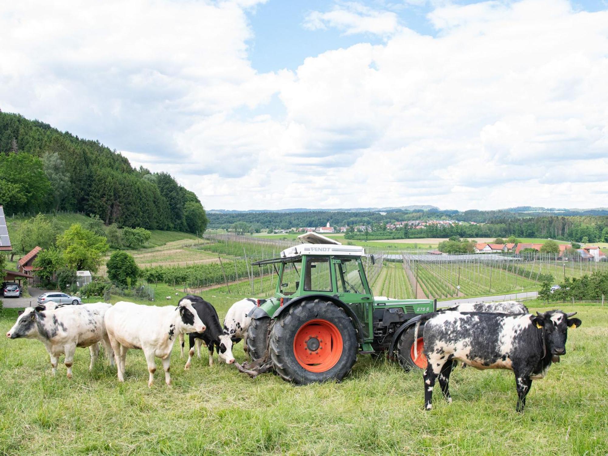 Ferienhof Biegger เทตต์นัง ภายนอก รูปภาพ